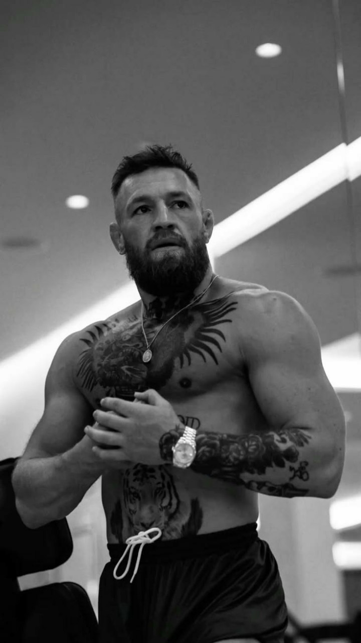 wallpaper Conor McGregor