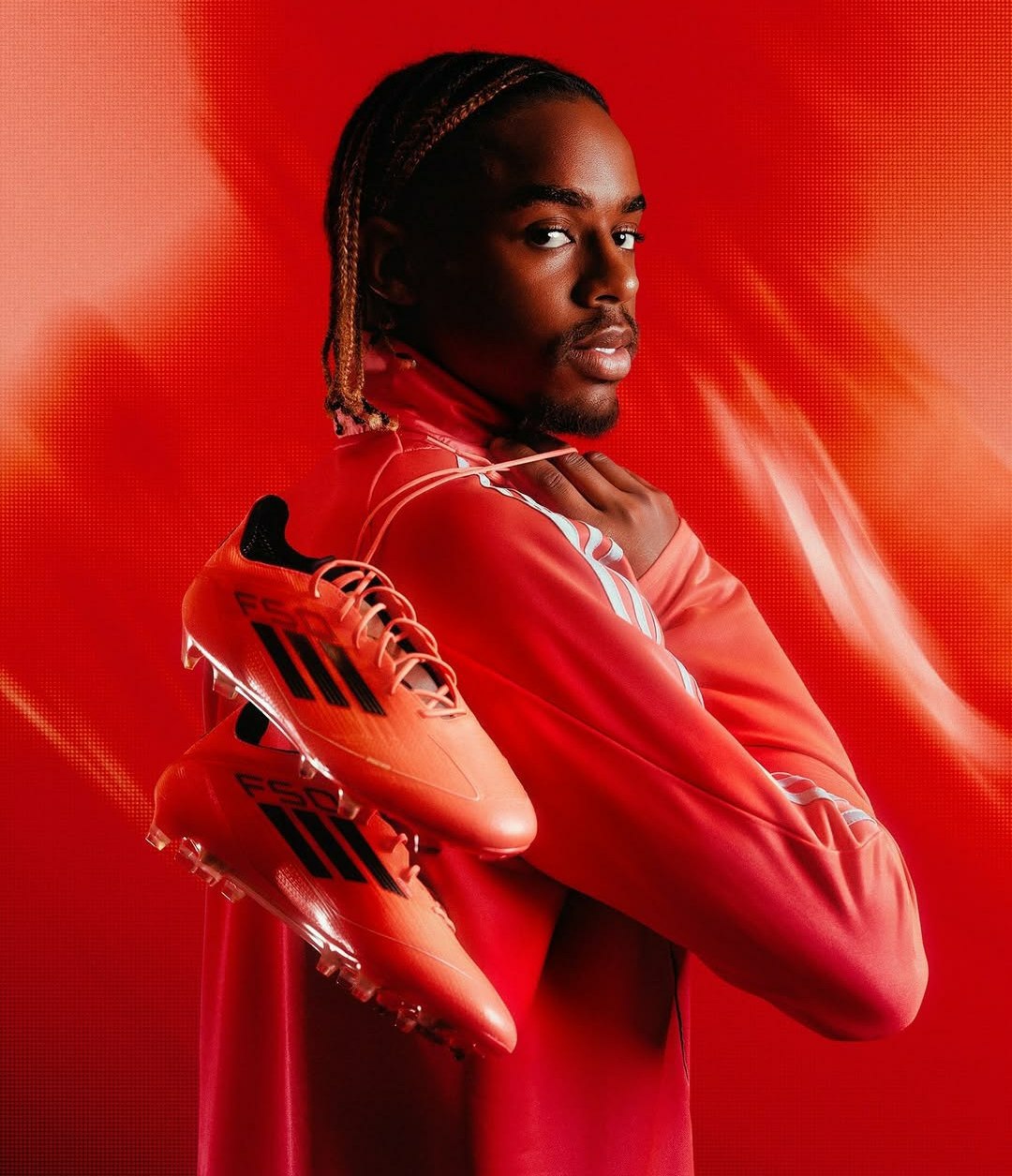 والپیپر بردلی بارکولا برای کامپیوتر