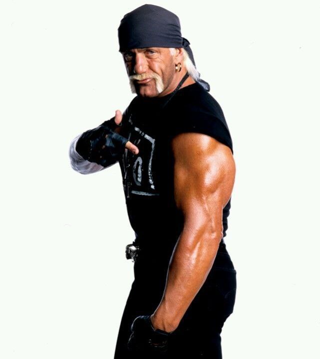 افتخارات هوگان در WWE