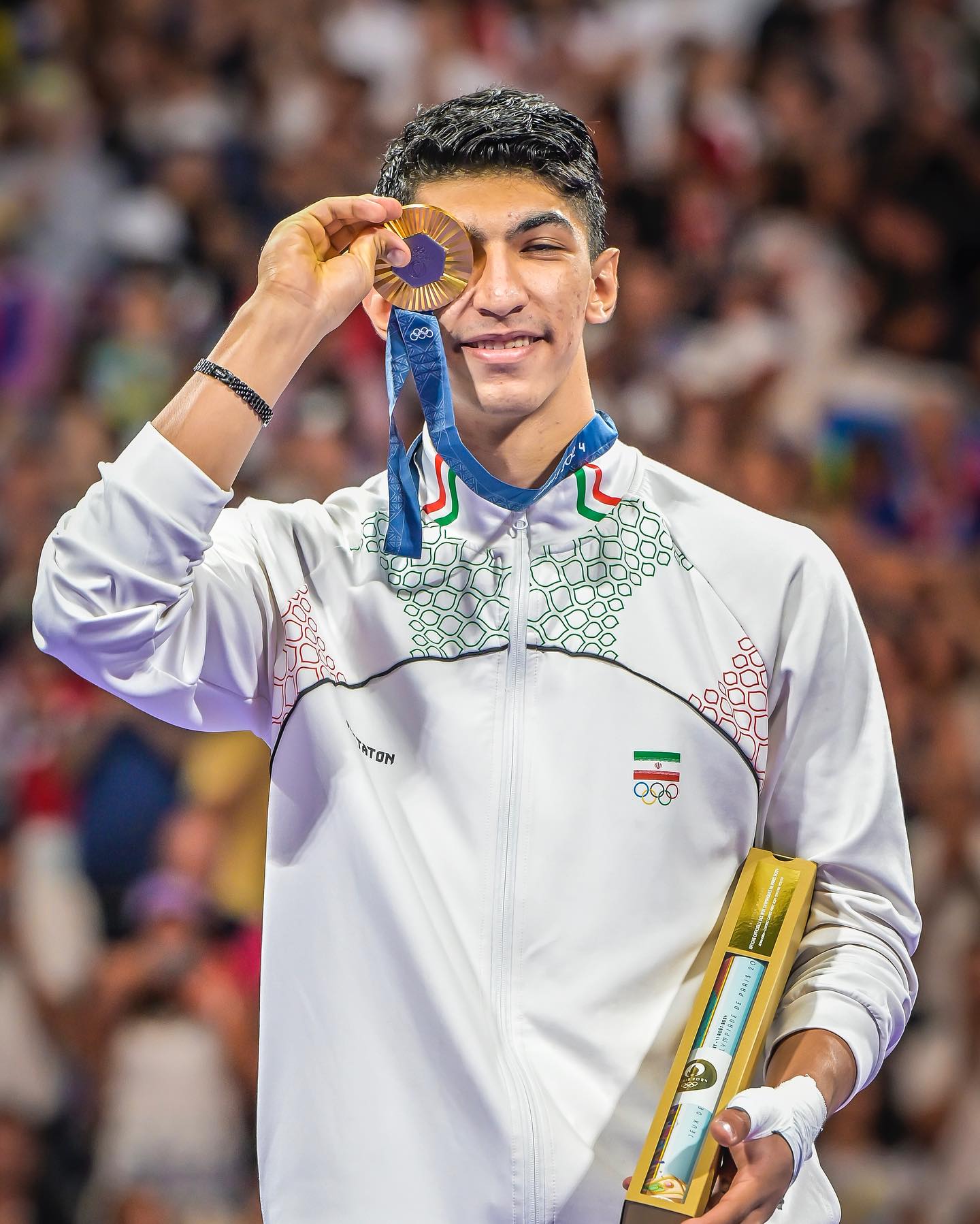 زندگینامه آرین سلیمی