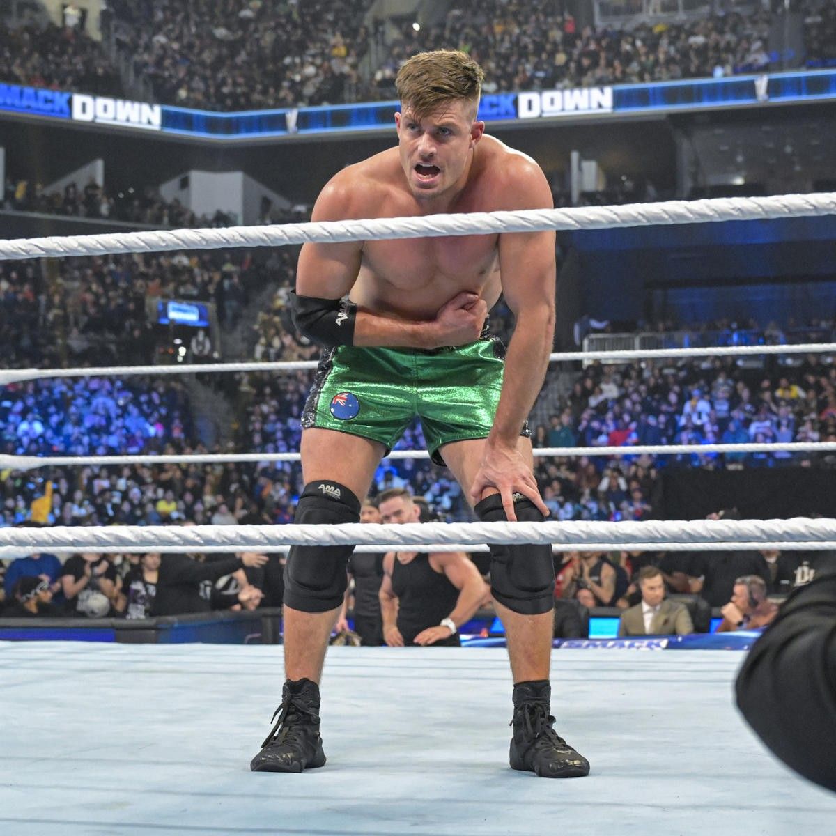 دعوای گریسون والر با داور WWE