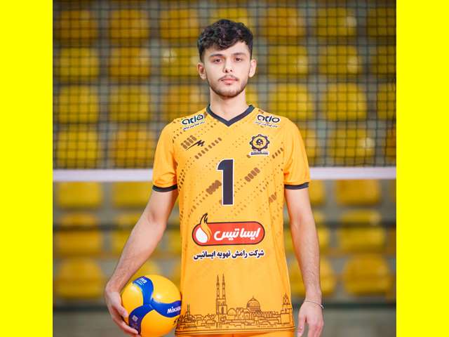 ائلشن داوودی پور والپیپر 