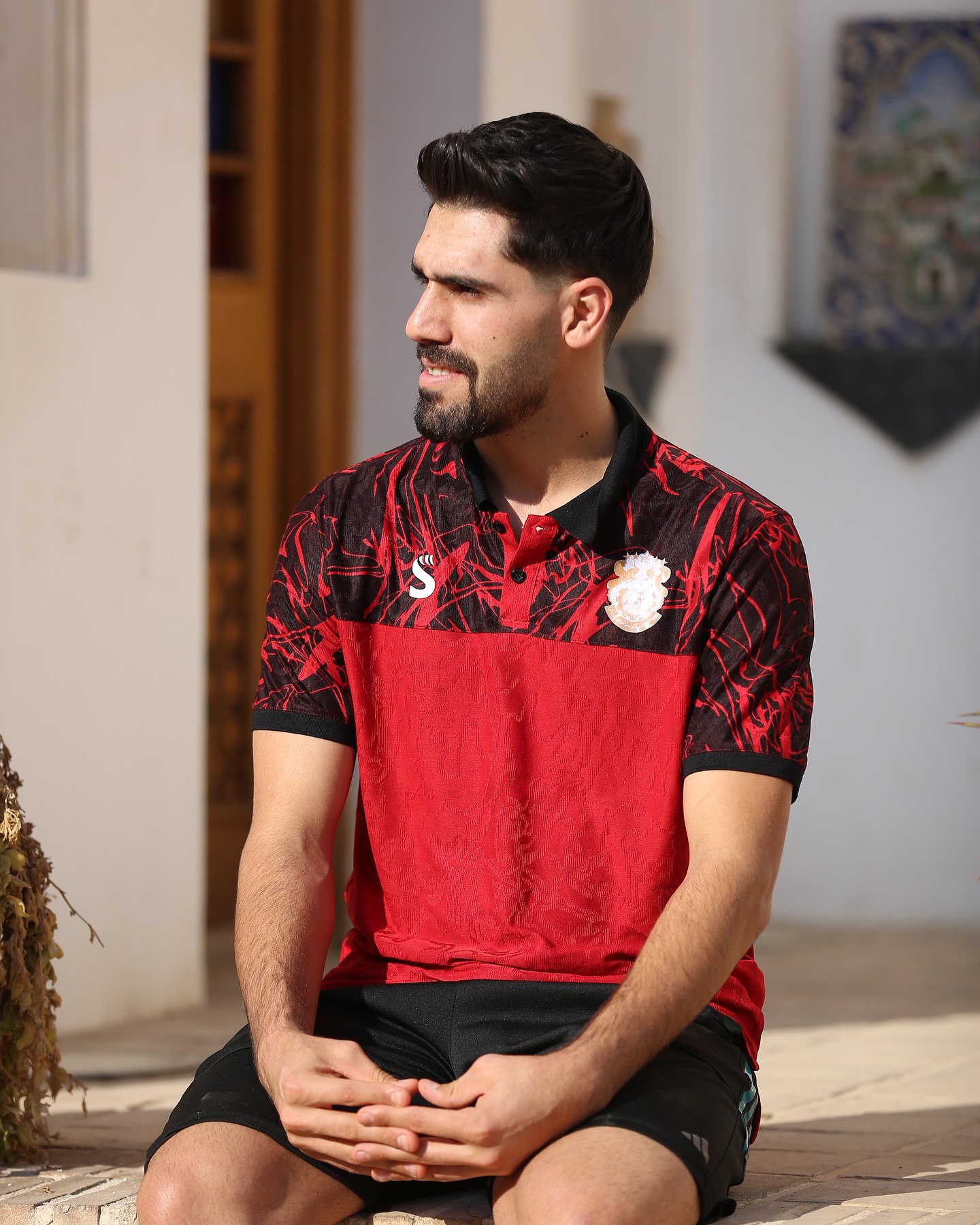 زندگی حرفه ای مهدی رستمی‌ها 